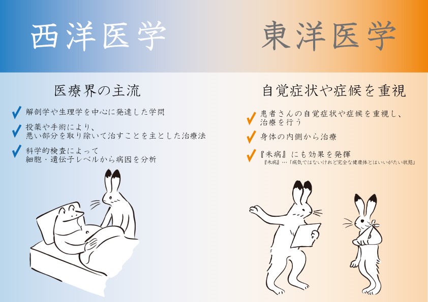 東洋医学