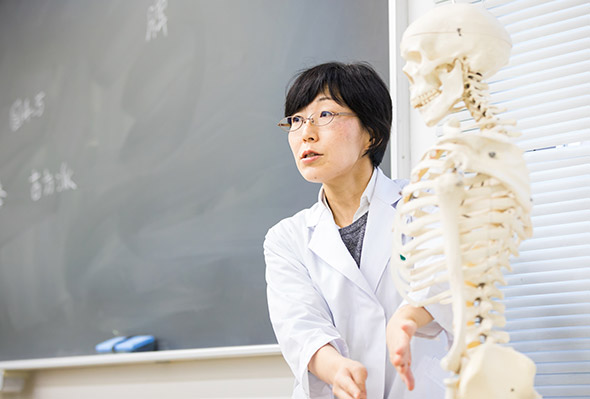 経絡経穴概論