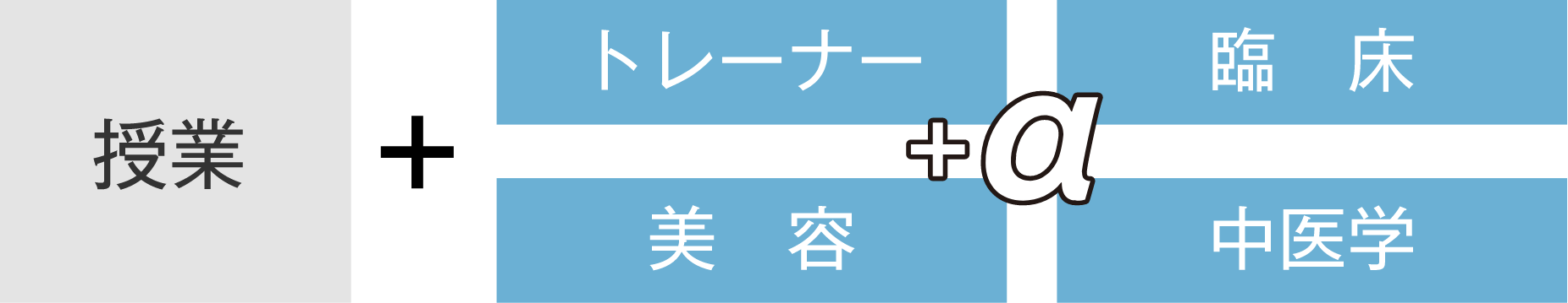 授業 + トレーナー 臨床 美容 中医学