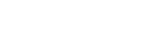 Wannabe Academy